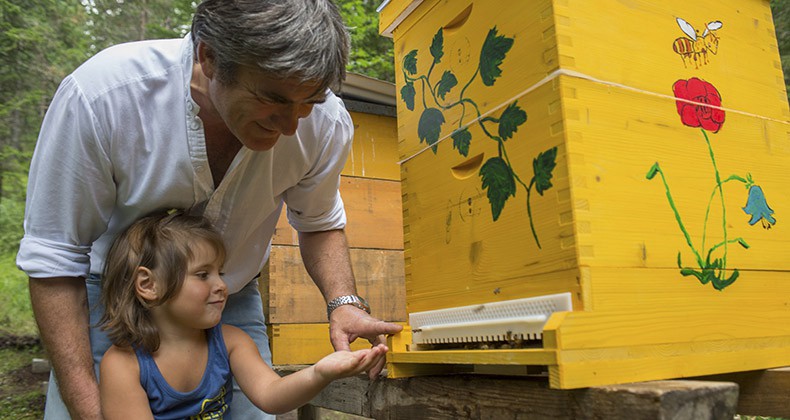 Bienenakademie-kleine Besucherin