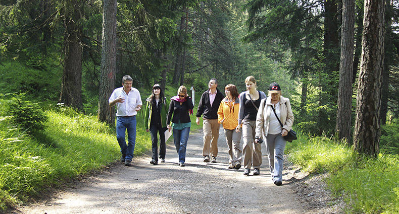 Lehrpfad-Erwachsene