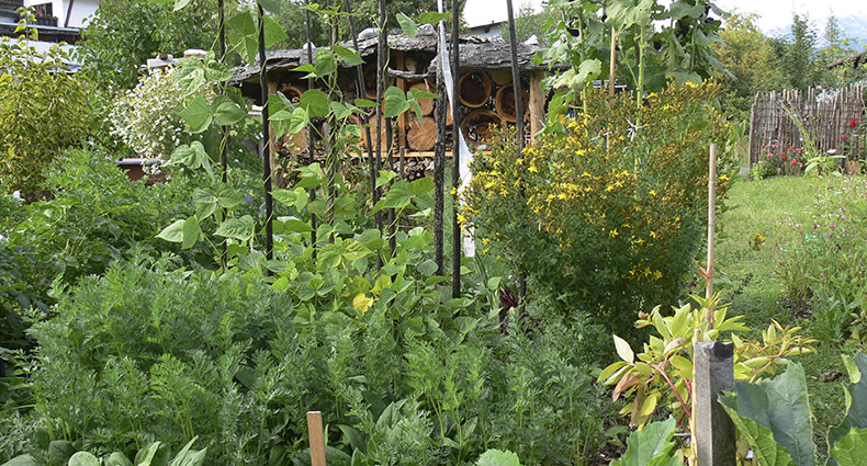 Wildbienen-Lehrpfad