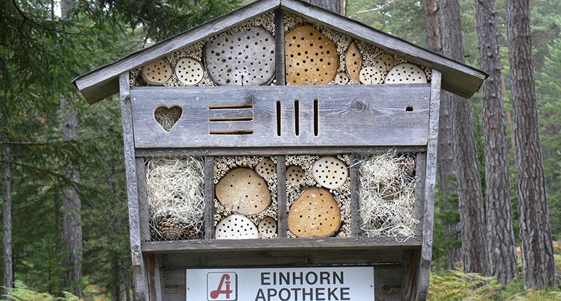 Wildbienen-Lehrpfad